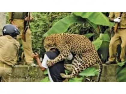 Watch Video! Terrifying moments of leopard attacking a man in Nashik caught on camera | Watch Video! Terrifying moments of leopard attacking a man in Nashik caught on camera