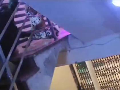 Lucknow: Leopard Enters Wedding Venue, Snatches Forest Official’s Weapon; Video Goes Viral | Lucknow: Leopard Enters Wedding Venue, Snatches Forest Official’s Weapon; Video Goes Viral Lucknow: Leopard Enters Wedding Venue, Snatches Forest Official’s Weapon; Video Goes Viral | Lucknow: Leopard Enters Wedding Venue, Snatches Forest Official’s Weapon; Video Goes Viral