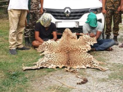 Mumbai DRI Seizes Two Leopard Skins in Inter-State Operation, Four Held | Mumbai DRI Seizes Two Leopard Skins in Inter-State Operation, Four Held Mumbai DRI Seizes Two Leopard Skins in Inter-State Operation, Four Held | Mumbai DRI Seizes Two Leopard Skins in Inter-State Operation, Four Held