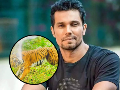Actor Randeep Hooda Urges Swift Rescue for Tigress Trapped in Snare in Uttarakhand's Surai Forest | Actor Randeep Hooda Urges Swift Rescue for Tigress Trapped in Snare in Uttarakhand's Surai Forest