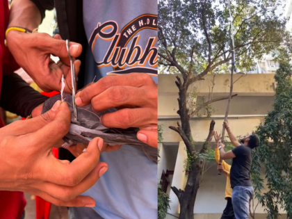 Makar Sankranti in Mumbai: Silent Heroes Rescue Thousands of Birds from Lethal Kite Strings | Makar Sankranti in Mumbai: Silent Heroes Rescue Thousands of Birds from Lethal Kite Strings
