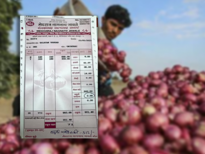 Maharashtra farmer gets Rs. 71 for 773 kg onions, faces major losses | Maharashtra farmer gets Rs. 71 for 773 kg onions, faces major losses