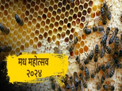Maharashtra's Honey Revolution Starts with a Festival Buzz | Maharashtra's Honey Revolution Starts with a Festival Buzz