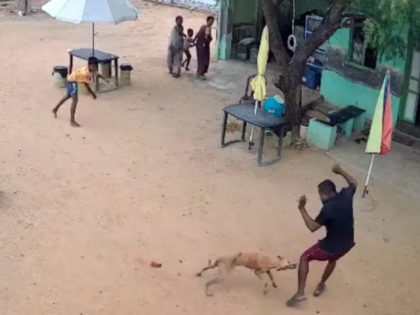 Madurai Horror: CCTV Captures Stray Dog’s Vicious Attack on 8-Year-Old and Father (Watch Video) | Madurai Horror: CCTV Captures Stray Dog’s Vicious Attack on 8-Year-Old and Father (Watch Video) Madurai Horror: CCTV Captures Stray Dog’s Vicious Attack on 8-Year-Old and Father (Watch Video) | Madurai Horror: CCTV Captures Stray Dog’s Vicious Attack on 8-Year-Old and Father (Watch Video)