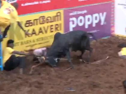 Madurai Jallikattu 2026 Live Streaming: Watch World-Famous Alanganallur Traditional Bull-Taming Event Online | Madurai Jallikattu 2026 Live Streaming: Watch World-Famous Alanganallur Traditional Bull-Taming Event Online Madurai Jallikattu 2026 Live Streaming: Watch World-Famous Alanganallur Traditional Bull-Taming Event Online | Madurai Jallikattu 2026 Live Streaming: Watch World-Famous Alanganallur Traditional Bull-Taming Event Online