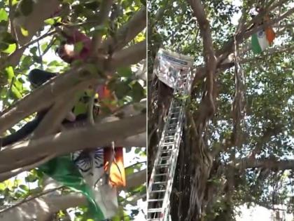 Mumbai: Man Climbs Tree Outside Maharashtra Assembly Building in Protest Over Grievances (Watch Video) | Mumbai: Man Climbs Tree Outside Maharashtra Assembly Building in Protest Over Grievances (Watch Video) Mumbai: Man Climbs Tree Outside Maharashtra Assembly Building in Protest Over Grievances (Watch Video) | Mumbai: Man Climbs Tree Outside Maharashtra Assembly Building in Protest Over Grievances (Watch Video)