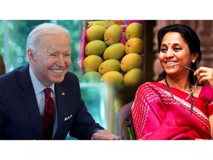 Mangoes from Maharashtra gifted to US President Biden | Mangoes from Maharashtra gifted to US President Biden Mangoes from Maharashtra gifted to US President Biden | Mangoes from Maharashtra gifted to US President Biden