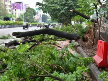 Maharashtra Monsoon: 16 Dead, 18 Injured in Rain-Related Incidents Since May 24 | Maharashtra Monsoon: 16 Dead, 18 Injured in Rain-Related Incidents Since May 24 Maharashtra Monsoon: 16 Dead, 18 Injured in Rain-Related Incidents Since May 24 | Maharashtra Monsoon: 16 Dead, 18 Injured in Rain-Related Incidents Since May 24