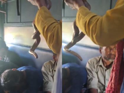 Man Carries Live Snake on Train, Begs for Money; Viral Video Sparks Safety Concerns | Man Carries Live Snake on Train, Begs for Money; Viral Video Sparks Safety Concerns