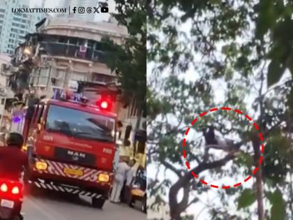 Mumbai Fire Brigade Rescues Man from Tree in Madanpura After He Refuses to Come Down; Video Goes Viral | Mumbai Fire Brigade Rescues Man from Tree in Madanpura After He Refuses to Come Down; Video Goes Viral