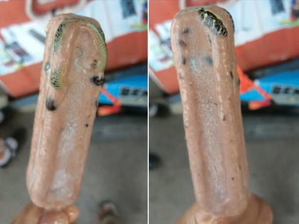 Thai Man Finds Snake Frozen Inside Ice Cream, SHOCKING Image Goes Viral; Internet Reacts | Thai Man Finds Snake Frozen Inside Ice Cream, SHOCKING Image Goes Viral; Internet Reacts Thai Man Finds Snake Frozen Inside Ice Cream, SHOCKING Image Goes Viral; Internet Reacts | Thai Man Finds Snake Frozen Inside Ice Cream, SHOCKING Image Goes Viral; Internet Reacts