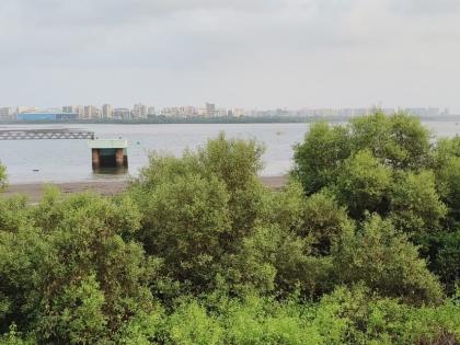Navi Mumbai to Get Largest Share of 79 CCTV Installations in Rs 120 Crore ‘Eye in The Sky’ Surveillance Project | Navi Mumbai to Get Largest Share of 79 CCTV Installations in Rs 120 Crore ‘Eye in The Sky’ Surveillance Project Navi Mumbai to Get Largest Share of 79 CCTV Installations in Rs 120 Crore ‘Eye in The Sky’ Surveillance Project | Navi Mumbai to Get Largest Share of 79 CCTV Installations in Rs 120 Crore ‘Eye in The Sky’ Surveillance Project