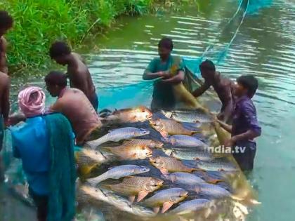 Maharashtra rains: People risk lives to go fishing in overflowing river, probe ordered | Maharashtra rains: People risk lives to go fishing in overflowing river, probe ordered