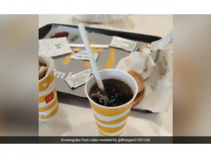 VIDEO! Lizard found in customer's soft drink at McDonald's outlet | VIDEO! Lizard found in customer's soft drink at McDonald's outlet
