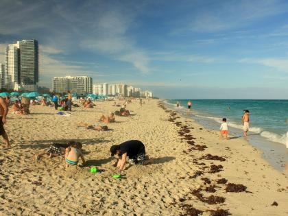 What Is Vibrio? Flesh-Eating Bacteria Kills 4 in Florida; Know Symptoms and Treatment | What Is Vibrio? Flesh-Eating Bacteria Kills 4 in Florida; Know Symptoms and Treatment What Is Vibrio? Flesh-Eating Bacteria Kills 4 in Florida; Know Symptoms and Treatment | What Is Vibrio? Flesh-Eating Bacteria Kills 4 in Florida; Know Symptoms and Treatment