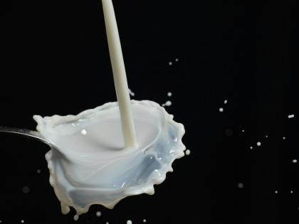Milk Prices Hiked by Rs 2 Per Litre in Maharashtra from Today; Check New Rates for Cow and Buffalo Milk | Milk Prices Hiked by Rs 2 Per Litre in Maharashtra from Today; Check New Rates for Cow and Buffalo Milk Milk Prices Hiked by Rs 2 Per Litre in Maharashtra from Today; Check New Rates for Cow and Buffalo Milk | Milk Prices Hiked by Rs 2 Per Litre in Maharashtra from Today; Check New Rates for Cow and Buffalo Milk
