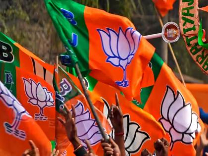 Mira Bhayandar Municipal Election Results 2026: BJP Inches Toward Record Victory as Congress, Thackeray Alliance Suffer Major Setback | Mira Bhayandar Municipal Election Results 2026: BJP Inches Toward Record Victory as Congress, Thackeray Alliance Suffer Major Setback Mira Bhayandar Municipal Election Results 2026: BJP Inches Toward Record Victory as Congress, Thackeray Alliance Suffer Major Setback | Mira Bhayandar Municipal Election Results 2026: BJP Inches Toward Record Victory as Congress, Thackeray Alliance Suffer Major Setback