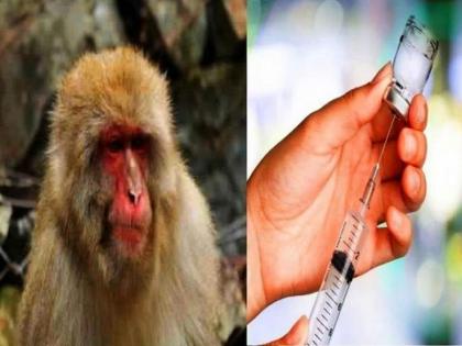 Kerala: Monkey fever reported in Wayanad district, patient under hospital care | Kerala: Monkey fever reported in Wayanad district, patient under hospital care Kerala: Monkey fever reported in Wayanad district, patient under hospital care | Kerala: Monkey fever reported in Wayanad district, patient under hospital care