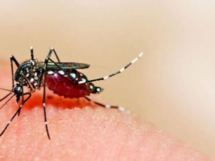 Maharashtra reports first case of Zika Virus in Pune | Maharashtra reports first case of Zika Virus in Pune