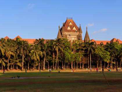 Maharashtra News: Bombay High Court allows chopping of 350 mangroves for Vadodara Mumbai Expressway | Maharashtra News: Bombay High Court allows chopping of 350 mangroves for Vadodara Mumbai Expressway Maharashtra News: Bombay High Court allows chopping of 350 mangroves for Vadodara Mumbai Expressway | Maharashtra News: Bombay High Court allows chopping of 350 mangroves for Vadodara Mumbai Expressway