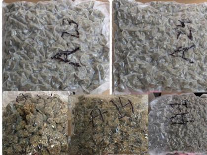 Mumbai Airport: Customs Officers Seize 19.78 kg Hydroponic Marijuana Worth Rs 19.78 Crore Passengers | Mumbai Airport: Customs Officers Seize 19.78 kg Hydroponic Marijuana Worth Rs 19.78 Crore Passengers