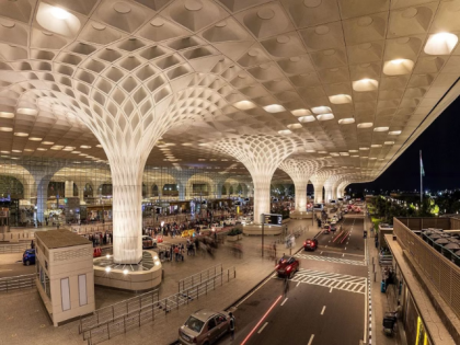 Mumbai: 52 Exotic Snakes and Turtles Found in Passenger’s Luggage at CSMIA | Mumbai: 52 Exotic Snakes and Turtles Found in Passenger’s Luggage at CSMIA Mumbai: 52 Exotic Snakes and Turtles Found in Passenger’s Luggage at CSMIA | Mumbai: 52 Exotic Snakes and Turtles Found in Passenger’s Luggage at CSMIA