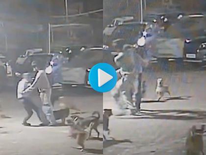 Mumbai Shocker: Watchman Brutally Beaten for Defending Himself Against Dog Attack in Andheri; Video Surfaces | Mumbai Shocker: Watchman Brutally Beaten for Defending Himself Against Dog Attack in Andheri; Video Surfaces Mumbai Shocker: Watchman Brutally Beaten for Defending Himself Against Dog Attack in Andheri; Video Surfaces | Mumbai Shocker: Watchman Brutally Beaten for Defending Himself Against Dog Attack in Andheri; Video Surfaces