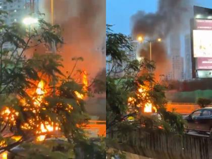 Mumbai: Car Catches Fire on Lalbaug Flyover Near Byculla, No Casualties Reported (Watch Video) | Mumbai: Car Catches Fire on Lalbaug Flyover Near Byculla, No Casualties Reported (Watch Video) Mumbai: Car Catches Fire on Lalbaug Flyover Near Byculla, No Casualties Reported (Watch Video) | Mumbai: Car Catches Fire on Lalbaug Flyover Near Byculla, No Casualties Reported (Watch Video)
