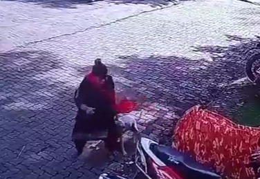 Mumbai: Woman Severely Injured in Stray Dog Attack in Borivali; Video Surfaces | Mumbai: Woman Severely Injured in Stray Dog Attack in Borivali; Video Surfaces Mumbai: Woman Severely Injured in Stray Dog Attack in Borivali; Video Surfaces | Mumbai: Woman Severely Injured in Stray Dog Attack in Borivali; Video Surfaces