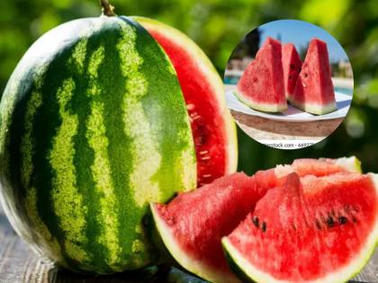 Watermelon Safety Alert: Mumbai Food Poisoning Case Raises Concerns, Know How to Check Fresh Fruit | Watermelon Safety Alert: Mumbai Food Poisoning Case Raises Concerns, Know How to Check Fresh Fruit