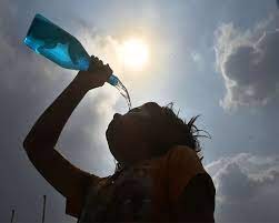 Global Heatwave-Linked Deaths Surpass 1.53 Lakh Annually, India Tops Fatalities: Study | Global Heatwave-Linked Deaths Surpass 1.53 Lakh Annually, India Tops Fatalities: Study