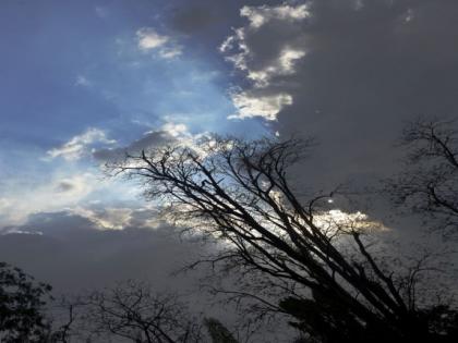 Nashik Weather Update: Cooler Evenings Ahead as Minimum Temperature Drops to 20 Degrees Celsius | Nashik Weather Update: Cooler Evenings Ahead as Minimum Temperature Drops to 20 Degrees Celsius