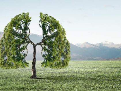 Recalibrating to build a sustainable world | Recalibrating to build a sustainable world Recalibrating to build a sustainable world | Recalibrating to build a sustainable world
