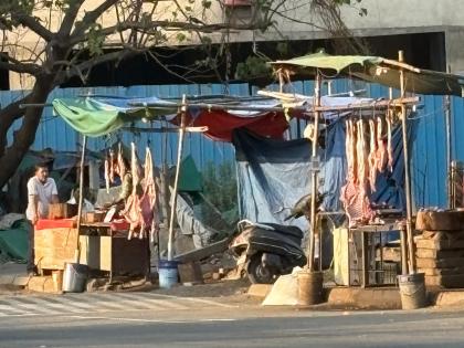 DGCA to Evaluate Wildlife Threats Near Navi Mumbai Airport Amid Growing Concerns Over Illegal Slaughter Near Runway | DGCA to Evaluate Wildlife Threats Near Navi Mumbai Airport Amid Growing Concerns Over Illegal Slaughter Near Runway DGCA to Evaluate Wildlife Threats Near Navi Mumbai Airport Amid Growing Concerns Over Illegal Slaughter Near Runway | DGCA to Evaluate Wildlife Threats Near Navi Mumbai Airport Amid Growing Concerns Over Illegal Slaughter Near Runway