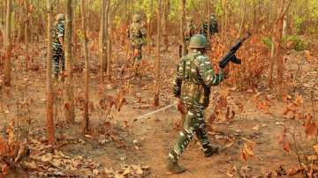 Maharashtra: Four Naxals Carrying Cash Reward of Rs 36 Lakhs Killed in Encounter With Security Forces in Gadchiroli | Maharashtra: Four Naxals Carrying Cash Reward of Rs 36 Lakhs Killed in Encounter With Security Forces in Gadchiroli