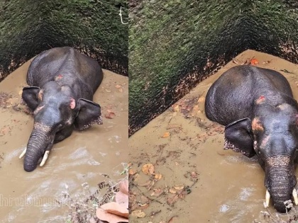 Emergency Rescue in Kerala: Wild Elephant Trapped Inside Well in Kothamangalam | Emergency Rescue in Kerala: Wild Elephant Trapped Inside Well in Kothamangalam