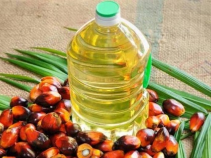 Crude Palm Oil: Good News! Edible oil prices to come down, government slashes import duty on palm oil | Crude Palm Oil: Good News! Edible oil prices to come down, government slashes import duty on palm oil