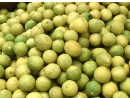 UP: Thieves rob 15 thousand lemons from garden as price of citrus fruit skyrocket | UP: Thieves rob 15 thousand lemons from garden as price of citrus fruit skyrocket