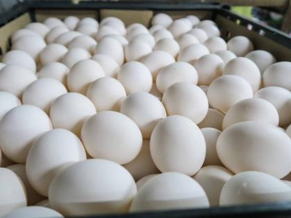 Egg prices soar in Mumbai, ahead of Christmas and New Year | Egg prices soar in Mumbai, ahead of Christmas and New Year Egg prices soar in Mumbai, ahead of Christmas and New Year | Egg prices soar in Mumbai, ahead of Christmas and New Year