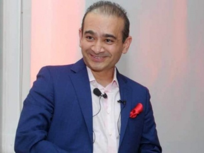 BJP on Nirav Modi's Extradition: Modi govt is committed to bring economic offenders to book | BJP on Nirav Modi's Extradition: Modi govt is committed to bring economic offenders to book