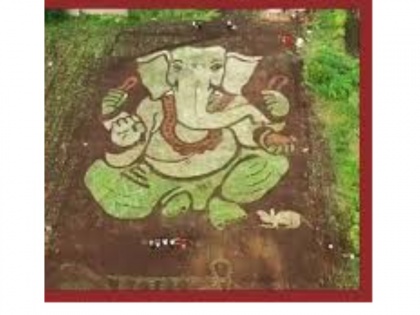 Viral Video! Ganesh Chaturthi 2020: Youngsters from Solapur village create eco-friendly Ganesh portrait in a farm | Viral Video! Ganesh Chaturthi 2020: Youngsters from Solapur village create eco-friendly Ganesh portrait in a farm