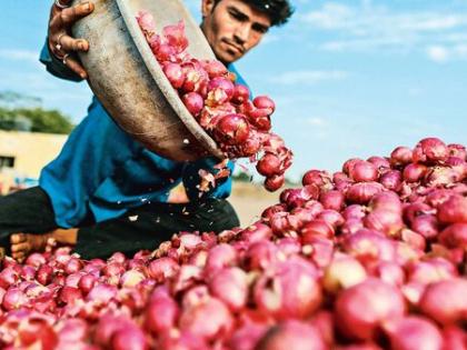 Nashik: APMC Market Sees Price Hike in Onions After Export Ban Lifted | Nashik: APMC Market Sees Price Hike in Onions After Export Ban Lifted