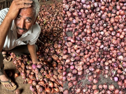 'Centre Tricking Us': Maharashtra Onion Farmers Say Export Embargo Not Lifted, Old Figures Presented To Mislead | 'Centre Tricking Us': Maharashtra Onion Farmers Say Export Embargo Not Lifted, Old Figures Presented To Mislead