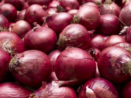Onion Prices Fall in Navi Mumbai Wholesale Market, Offering Relief to Households | Onion Prices Fall in Navi Mumbai Wholesale Market, Offering Relief to Households Onion Prices Fall in Navi Mumbai Wholesale Market, Offering Relief to Households | Onion Prices Fall in Navi Mumbai Wholesale Market, Offering Relief to Households