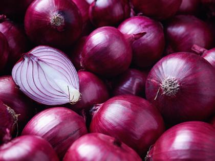 Maharashtra Onion Price: From ₹30 to ₹10 per Kg – See How the Market Has Crashed Over the Year | Maharashtra Onion Price: From ₹30 to ₹10 per Kg – See How the Market Has Crashed Over the Year Maharashtra Onion Price: From ₹30 to ₹10 per Kg – See How the Market Has Crashed Over the Year | Maharashtra Onion Price: From ₹30 to ₹10 per Kg – See How the Market Has Crashed Over the Year