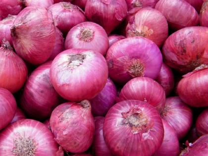 Indian Government Allows 64,400 Tonnes of Onion Exports to UAE and Bangladesh via NCEL | Indian Government Allows 64,400 Tonnes of Onion Exports to UAE and Bangladesh via NCEL