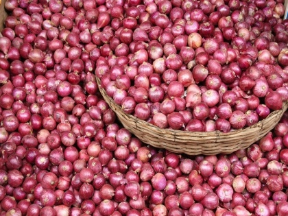 Nashik: Onion Auction Resumes at 5 APMCs After Three Weeks, but Challenges Remain | Nashik: Onion Auction Resumes at 5 APMCs After Three Weeks, but Challenges Remain