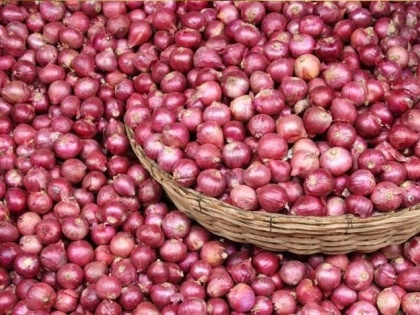 Lok Sabha Election 2024: India Extends Onion Export Ban Indefinitely | Lok Sabha Election 2024: India Extends Onion Export Ban Indefinitely
