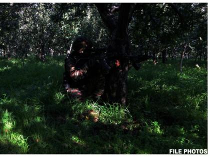 Operation AKHAL: One Terrorist Killed in Ongoing Encounter With Security Forces in Jammu and Kashmir's Kulgam | Operation AKHAL: One Terrorist Killed in Ongoing Encounter With Security Forces in Jammu and Kashmir's Kulgam