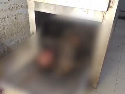 Pakistani Intruder Shot Dead by BSF Along Border in Punjab | Pakistani Intruder Shot Dead by BSF Along Border in Punjab Pakistani Intruder Shot Dead by BSF Along Border in Punjab | Pakistani Intruder Shot Dead by BSF Along Border in Punjab
